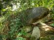 Mythos in der Rheinaue