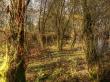 Uferidyll
